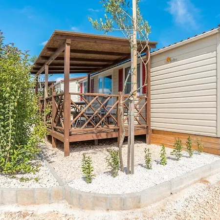 Family Friendly With A Swimming Pool Drage, Biograd - 17819 Appartamento *